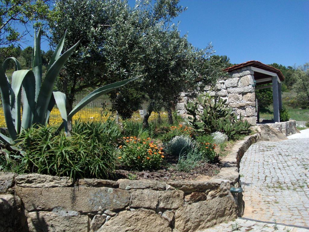 Quinta Do Mineiro-Serra Da Estrela Matanca Room photo