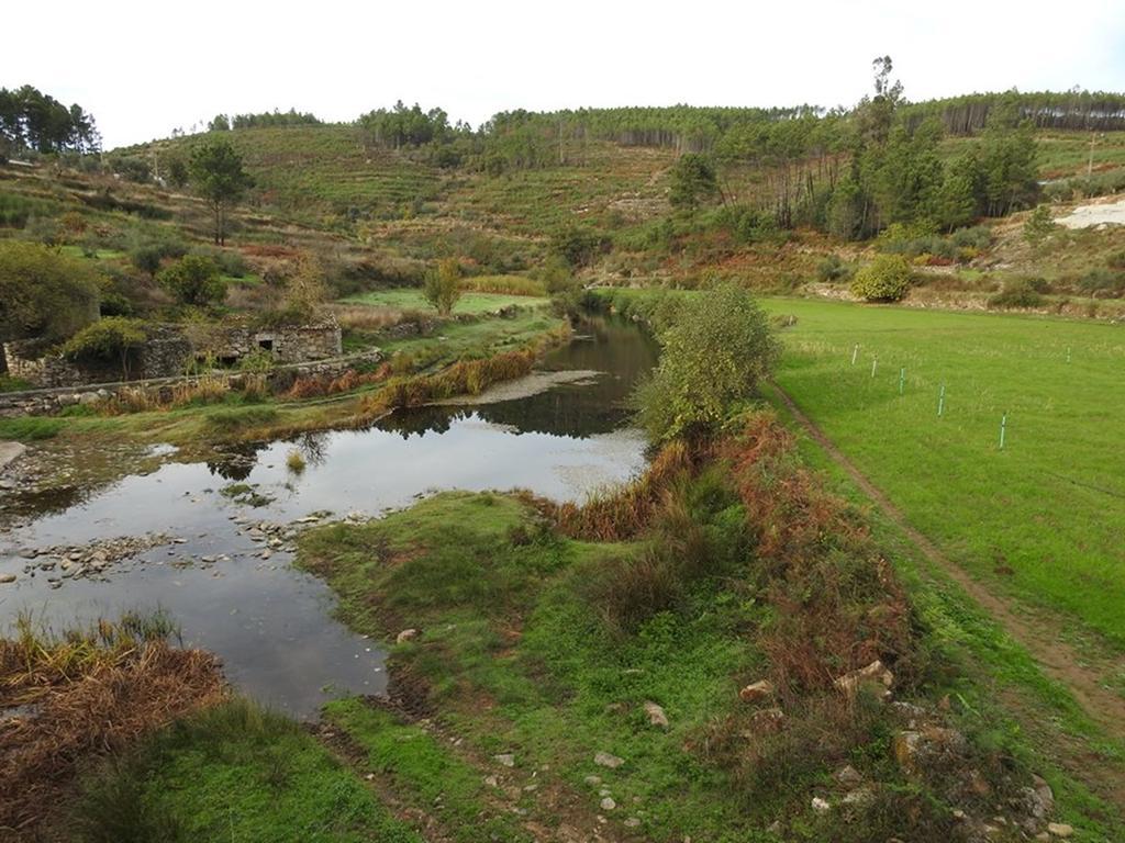 Quinta Do Mineiro-Serra Da Estrela Matanca Exterior photo